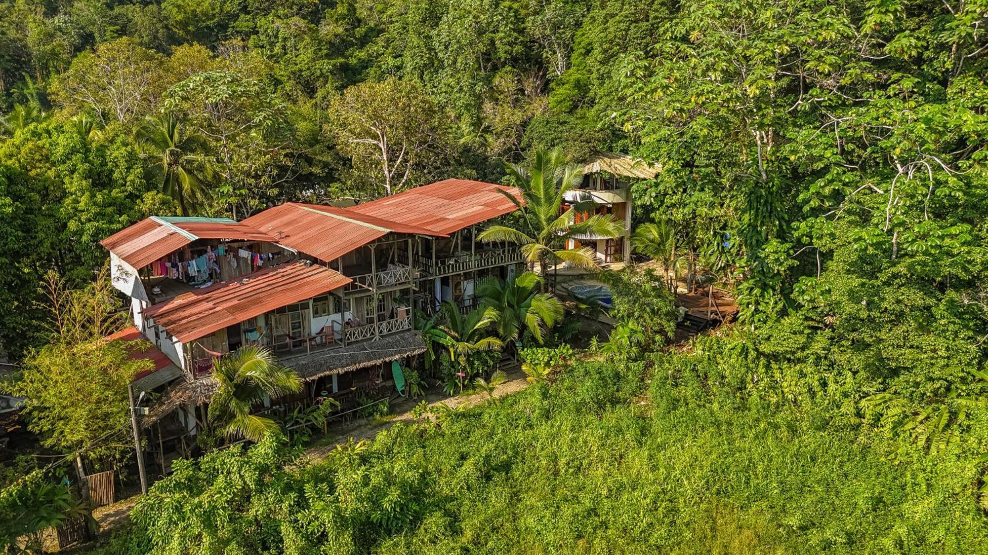 Maison d'hôtes Utria El Valle (Choco)